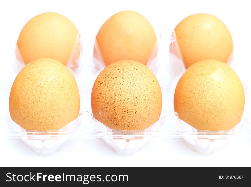 Egg isolated on white background