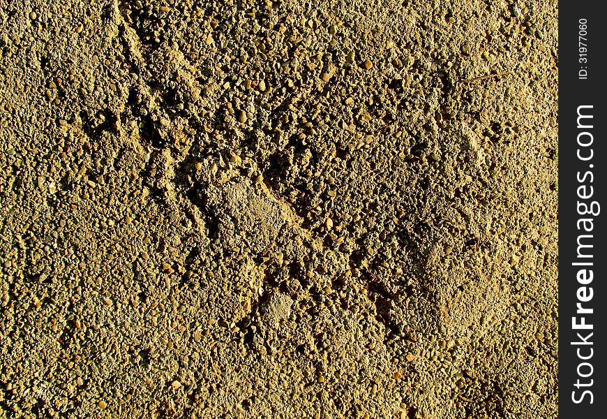 Part of rough concrete slab in shades of yellow, visible small stones
