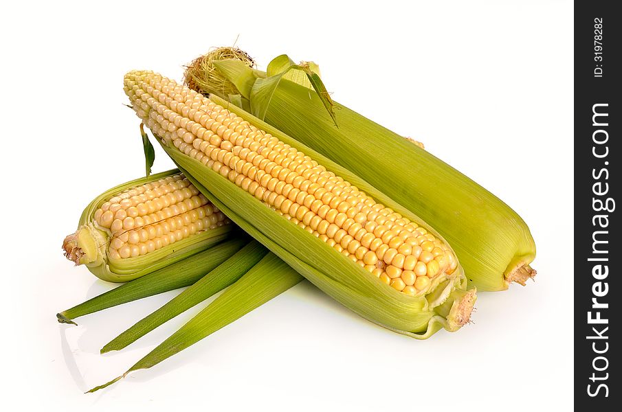 Fresh Corn Fruits With Green Leaves