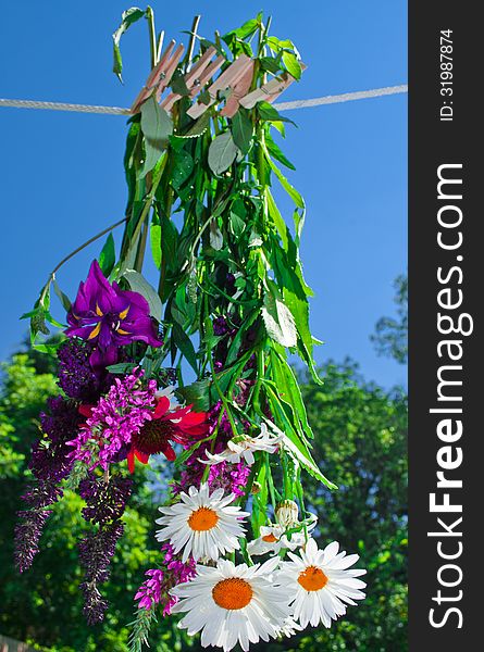 Colorful flowers hanging to dry on a clothes line. Colorful flowers hanging to dry on a clothes line.