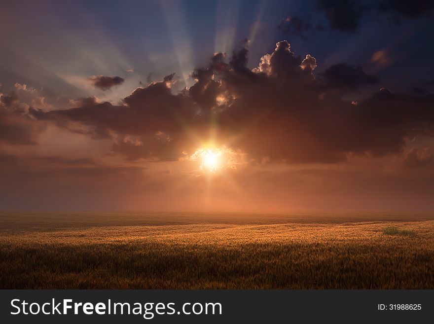 Rising sun above the wheat fields