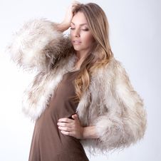 Model In Fur Coat Stock Photos Model In Fur Coat Stock Photos
