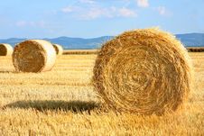 Field Of Freshly Cut Bales Stock Image Field Of Freshly Cut Bales Stock Image
