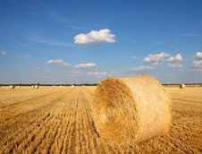 Field Of Freshly Cut Bales Royalty Free Stock Photography Field Of Freshly Cut Bales Royalty Free Stock Photography
