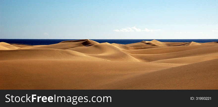 Deserted beach with cloudless sky