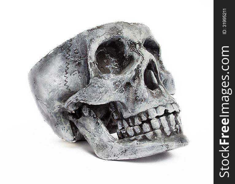 Human Skull