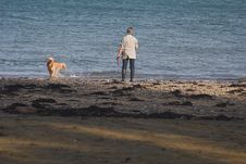 Woman & Dog On Playing On The Seashore Royalty Free Stock Image