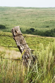 Fence Stock Image