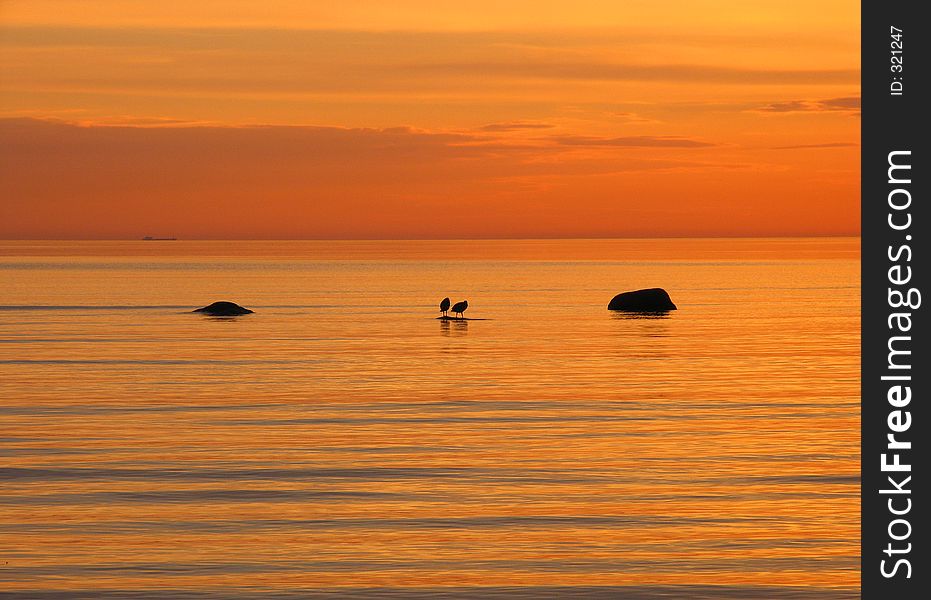 Two birds sitting between two stones on the background of bright orange sea sunset. Two birds sitting between two stones on the background of bright orange sea sunset