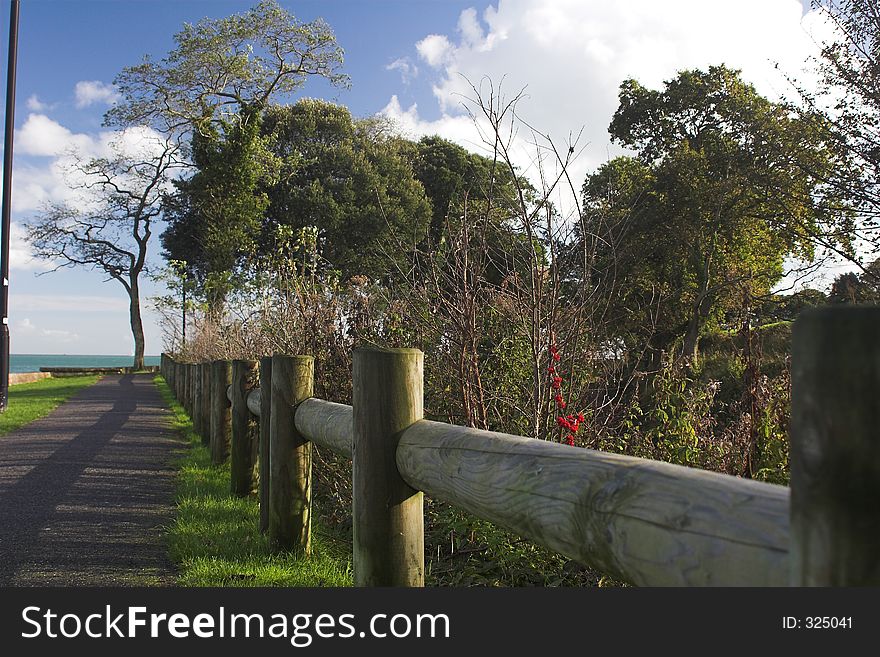 Coastal path leading to sea on a sunny day