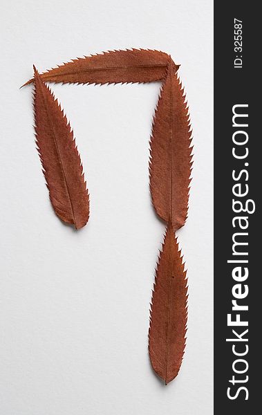 Question mark symbol: alphabet and numbers with autumn brown red dry leaf on white background