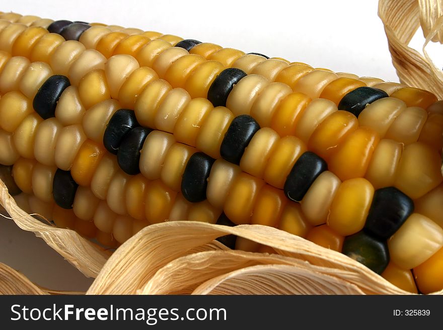 Corn ear