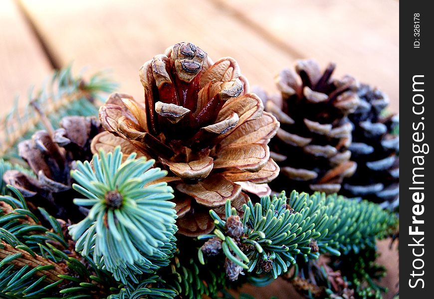 Pine cones and christmas tree branch.