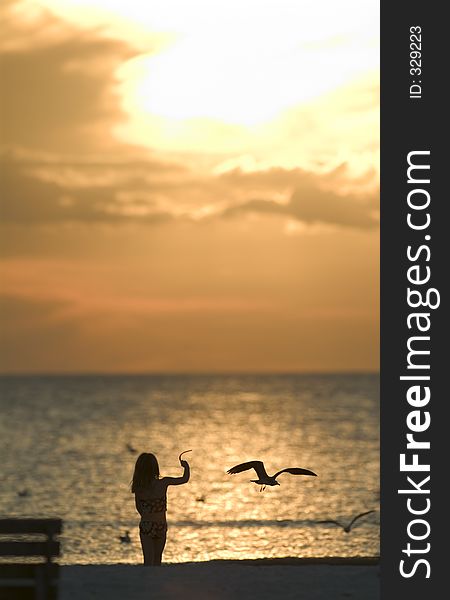 Young girl playing at the beach feeding the birds. Young girl playing at the beach feeding the birds.