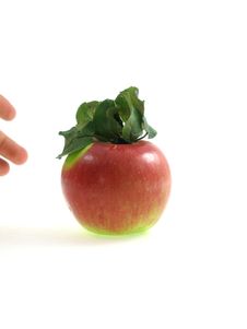 Isolated Apple With A Hand Royalty Free Stock Images Isolated Apple With A Hand Royalty Free Stock Images