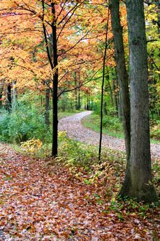 Autumn Walk Way Stock Photography Autumn Walk Way Stock Photography
