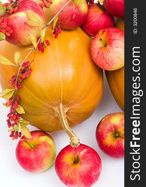 Colorful still-life of fresh autumn harvest. On white background. Colorful still-life of fresh autumn harvest. On white background