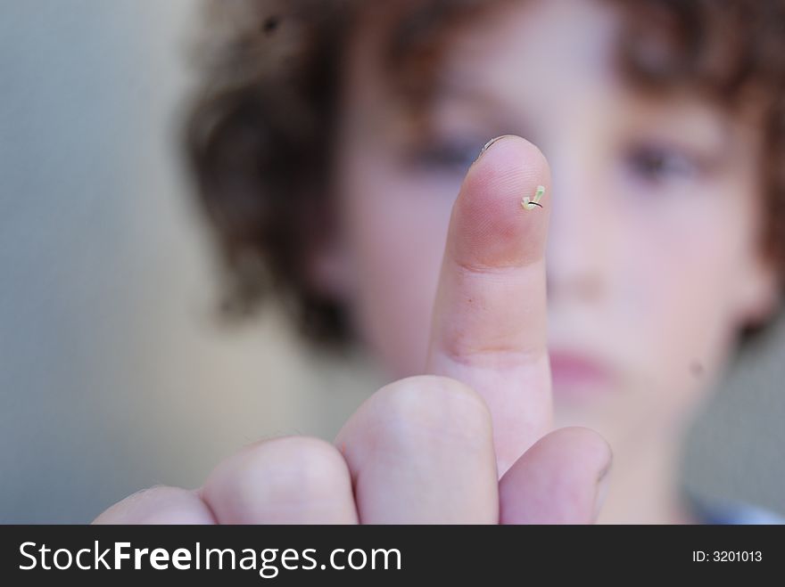 Boy holding Tobacco horn worm