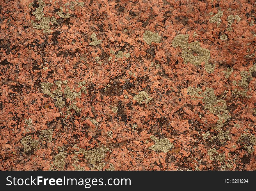 Lichen growth on large rocks in Colorado. Lichen growth on large rocks in Colorado