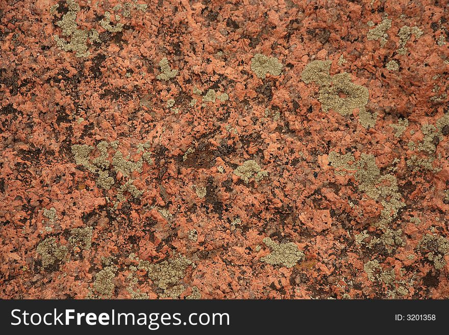 Lichen On Rocks 1