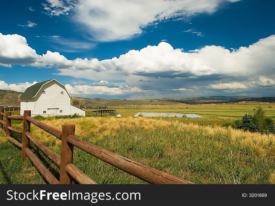 A House In The Field