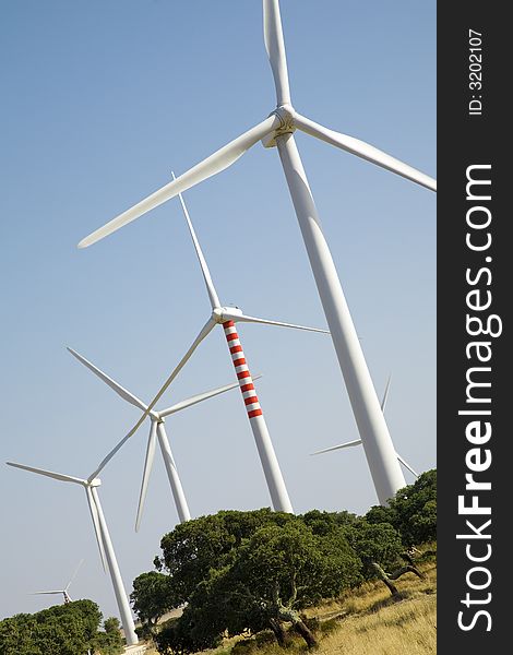 Environmental conservation: wind turbines in the field