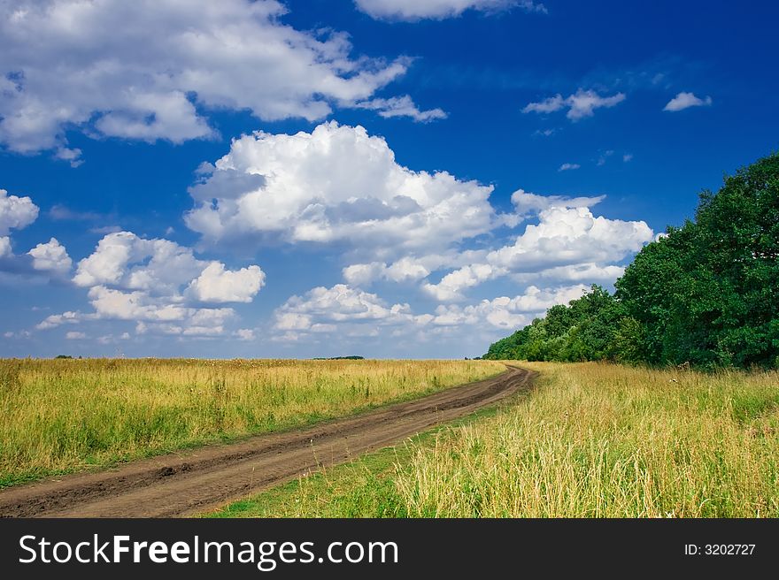 Summer landscape with the dark blue sky, green trees and road.