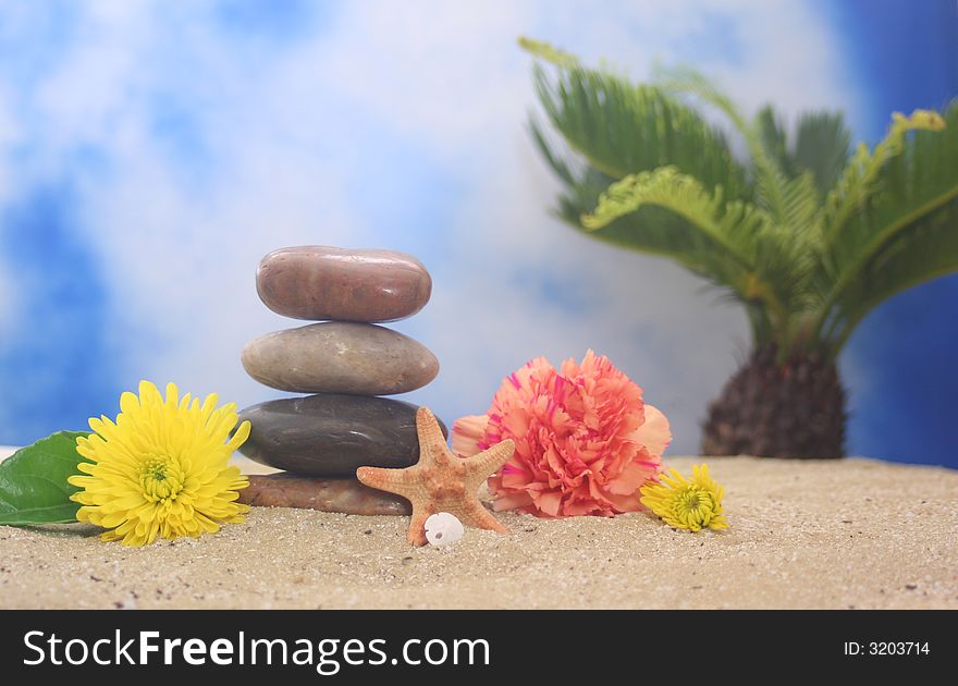 Stones on Beach With Flowers and Sea Shells With Blue Sky