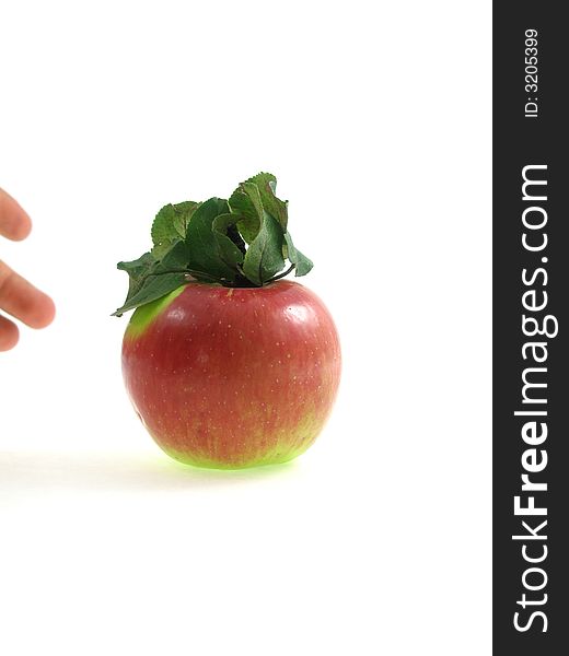 The isolated red apple with a hand and green foliage on a white background apple. The isolated red apple with a hand and green foliage on a white background apple