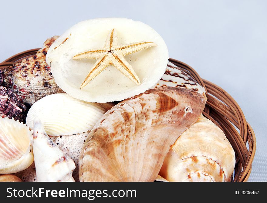 Close-up of a basket of shells with starfish. Close-up of a basket of shells with starfish.