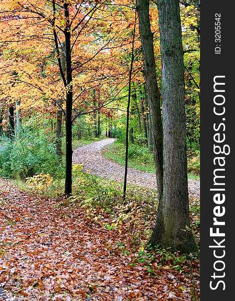 Scenic walk way through colorful trees during autumn time. Scenic walk way through colorful trees during autumn time