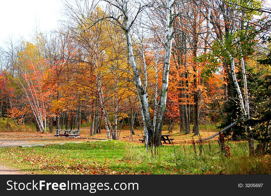 Colorful trees in a park during autumn time. Colorful trees in a park during autumn time