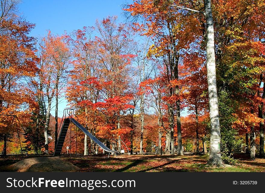 Colorful trees in a park during autumn time. Colorful trees in a park during autumn time