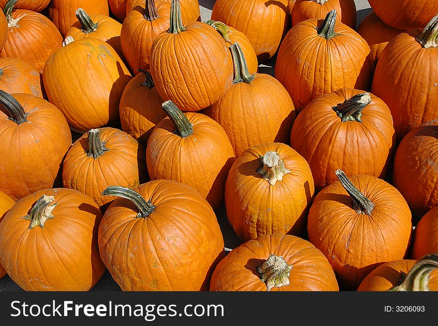 Pumpkins In A Pile