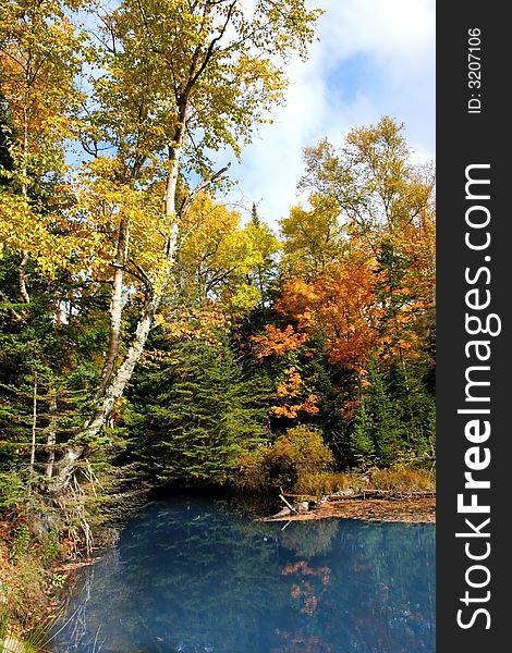 Colorful trees by blue water lake in a forest. Colorful trees by blue water lake in a forest