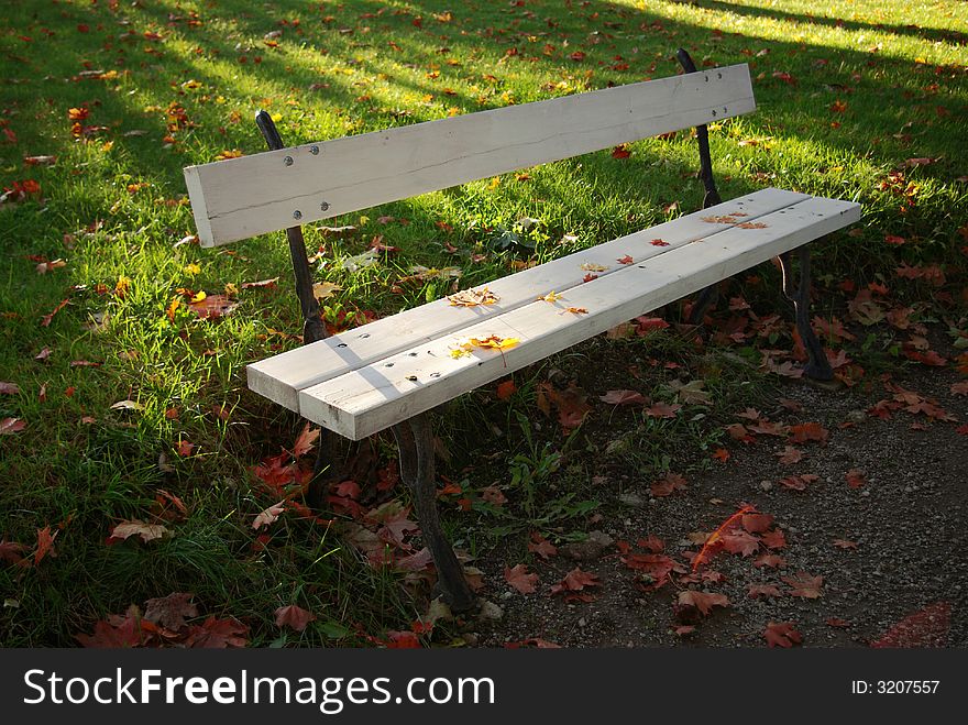 Autumn bench and colorful leaves