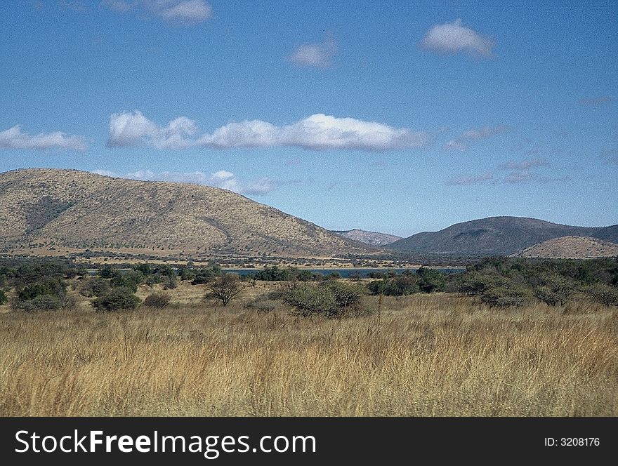 Open bush land in the south african countryside. Open bush land in the south african countryside