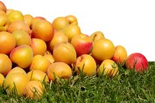 Apricots Stock Images