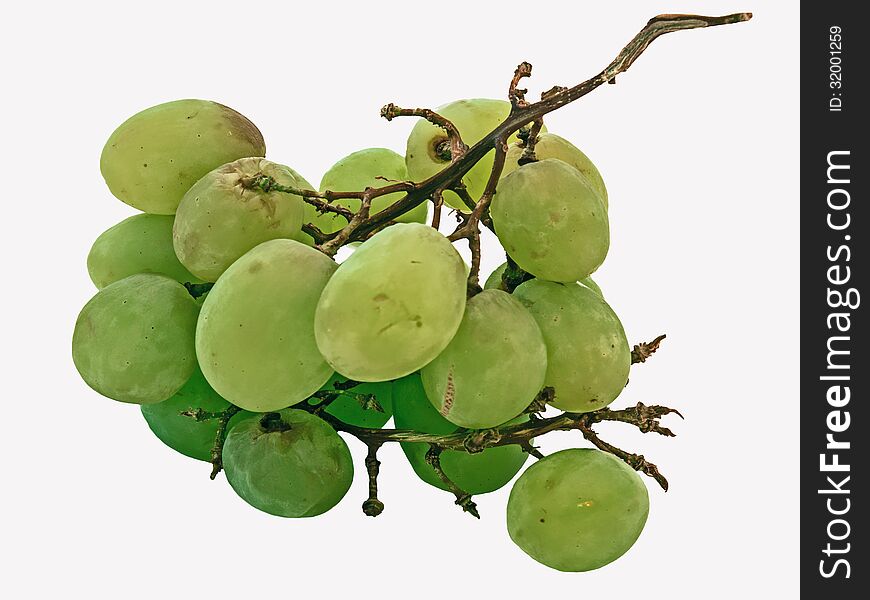 Branch of not fresh green grapes. Branch of not fresh green grapes