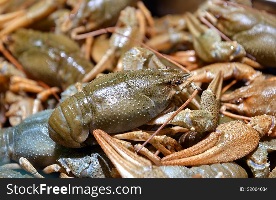 Live crayfish in the store seafood