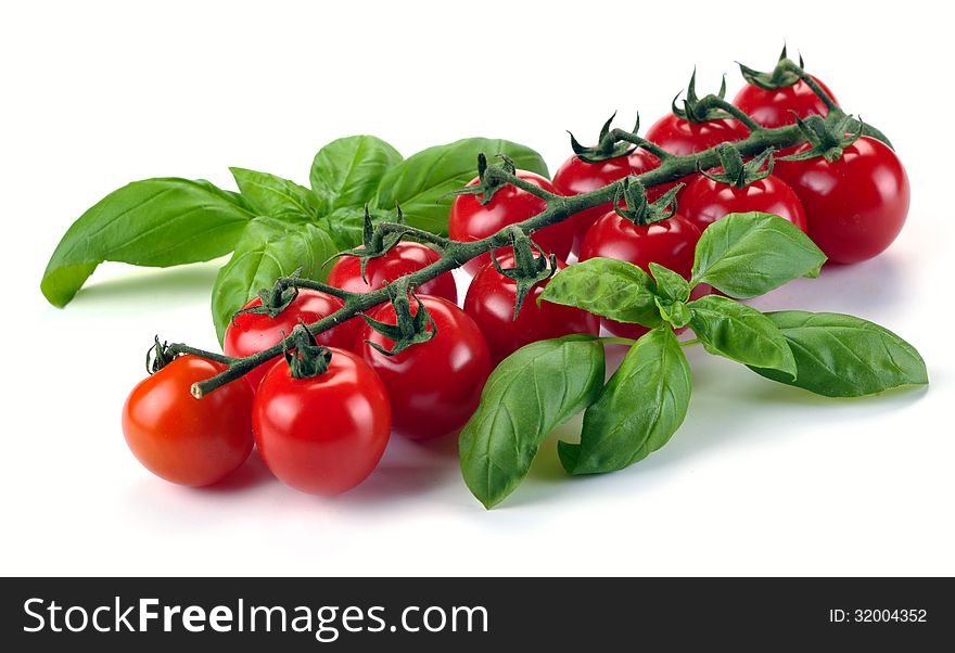 Leaves of basil and tomatoes on a white background