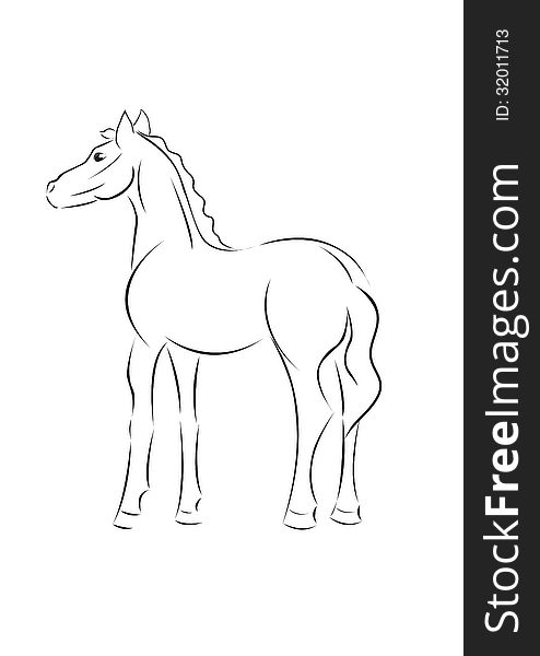 Vector sketch of a young horse. Vector sketch of a young horse