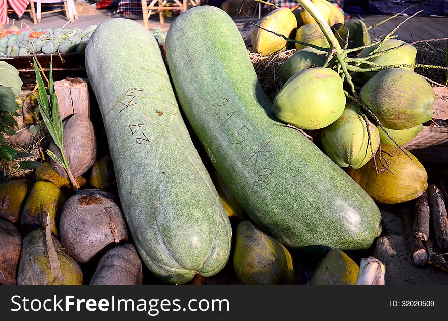 Giant Long Cucumber And Coconuts