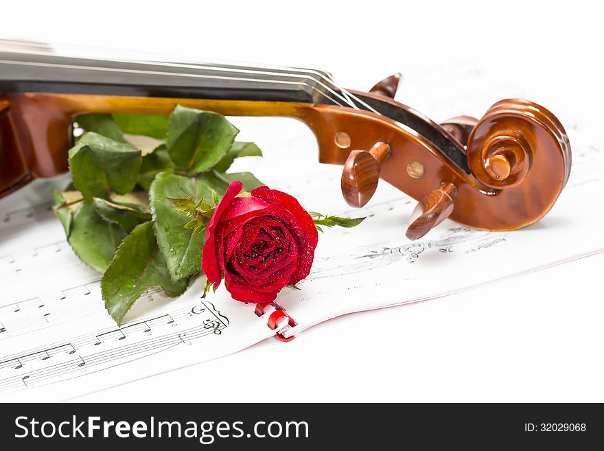 A violin peg-head, red rose and sheet music