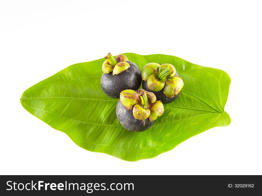 Mangosteen fruit on green leaf isolated and white background.