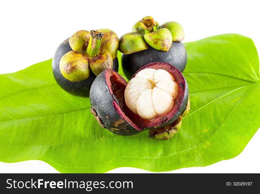 Mangosteen fruit on green leaf isolated and white background.