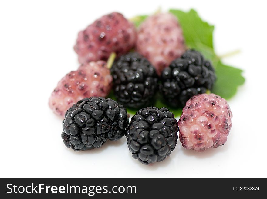 Fresh ripe organic mulberries on white background