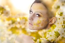 Pretty Young Woman Portrait With White Flowers Royalty Free Stock Photography Pretty Young Woman Portrait With White Flowers Royalty Free Stock Photography
