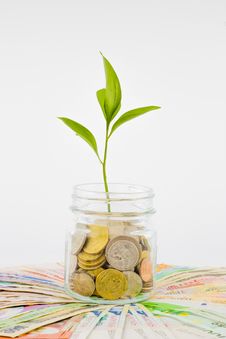 Plant And Coins In Glass Jar Stock Photos Plant And Coins In Glass Jar Stock Photos