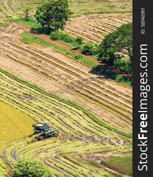 Combine harvester on harvest field aerial view